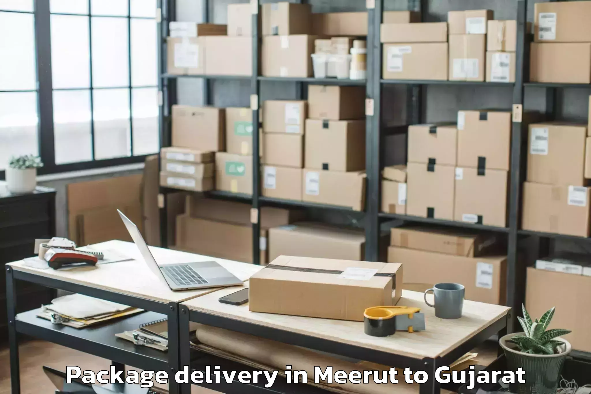 Get Meerut to Sardarkrushinagar Dantiwada Ag Package Delivery